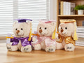 Personalized Graduation Teddy Bear – Custom Name Plush Toy