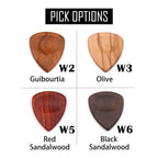 Personalized Wooden Guitar Picks with Case, Custom Guitar Pick Holder