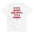IT'S A GEMINI