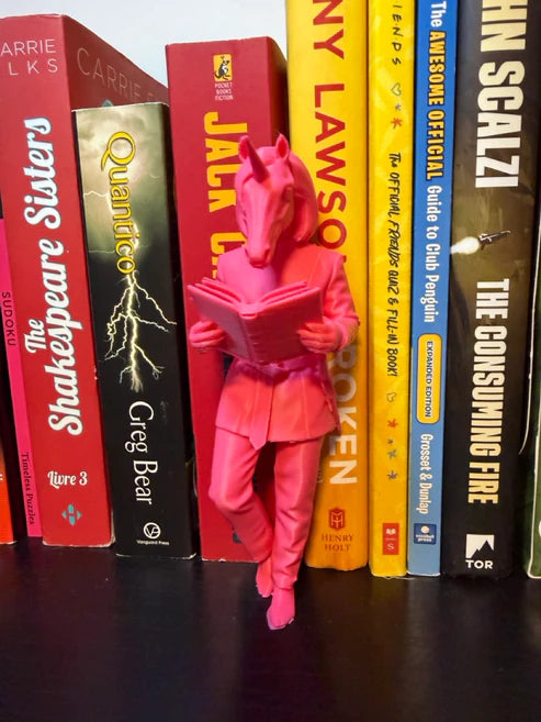 Unicorn Bookend – Funny Fantasy Bookshelf Decor