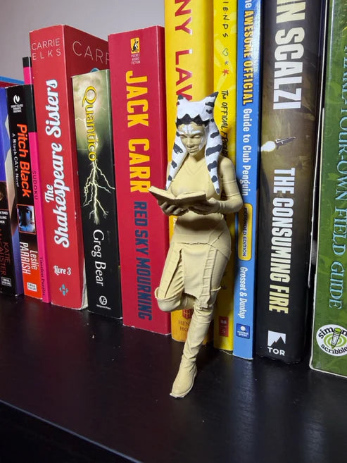 Star Wars Inspired Bookend
