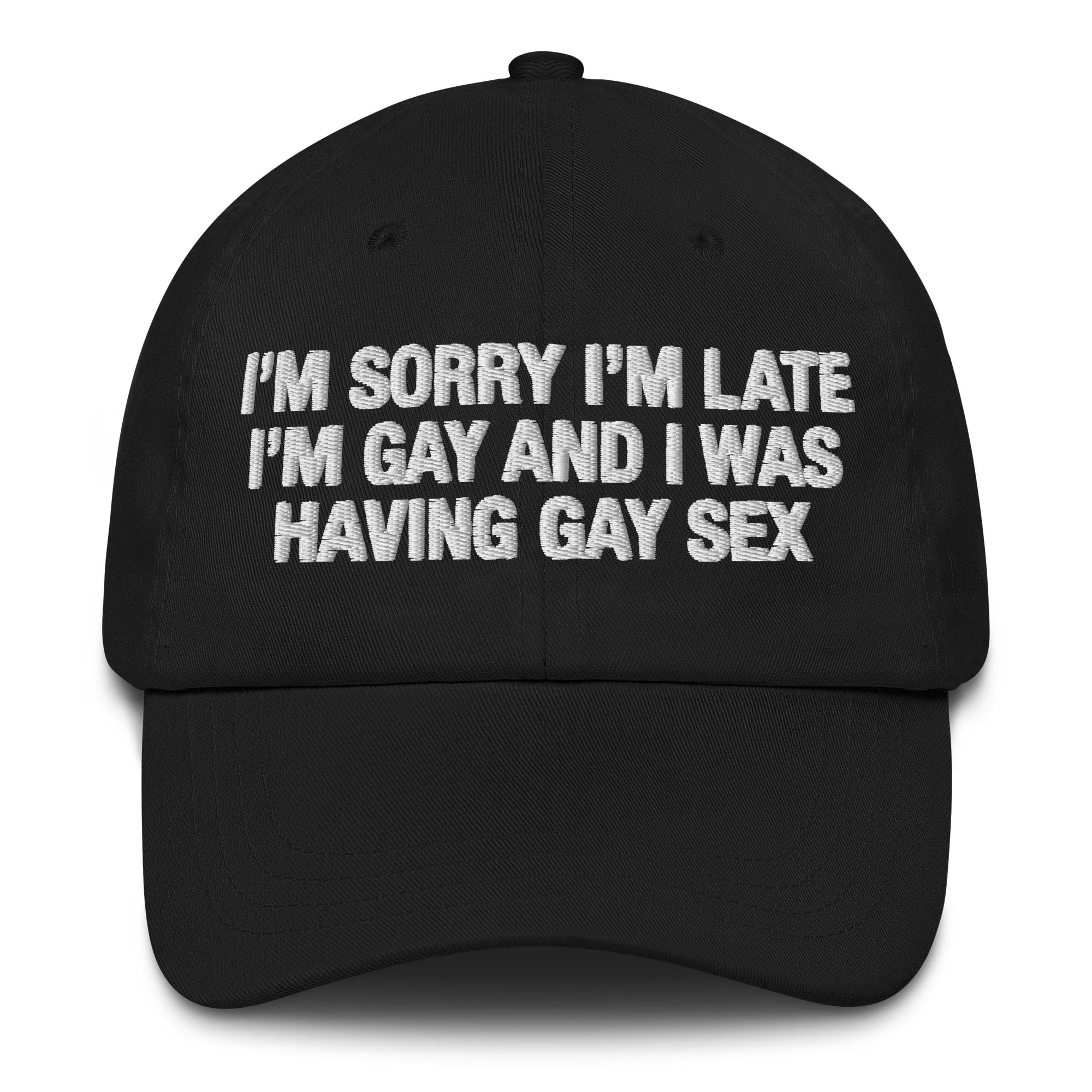 I'm Sorry I'm Late I'm Gay And I Was Having Gay Sex Hat.