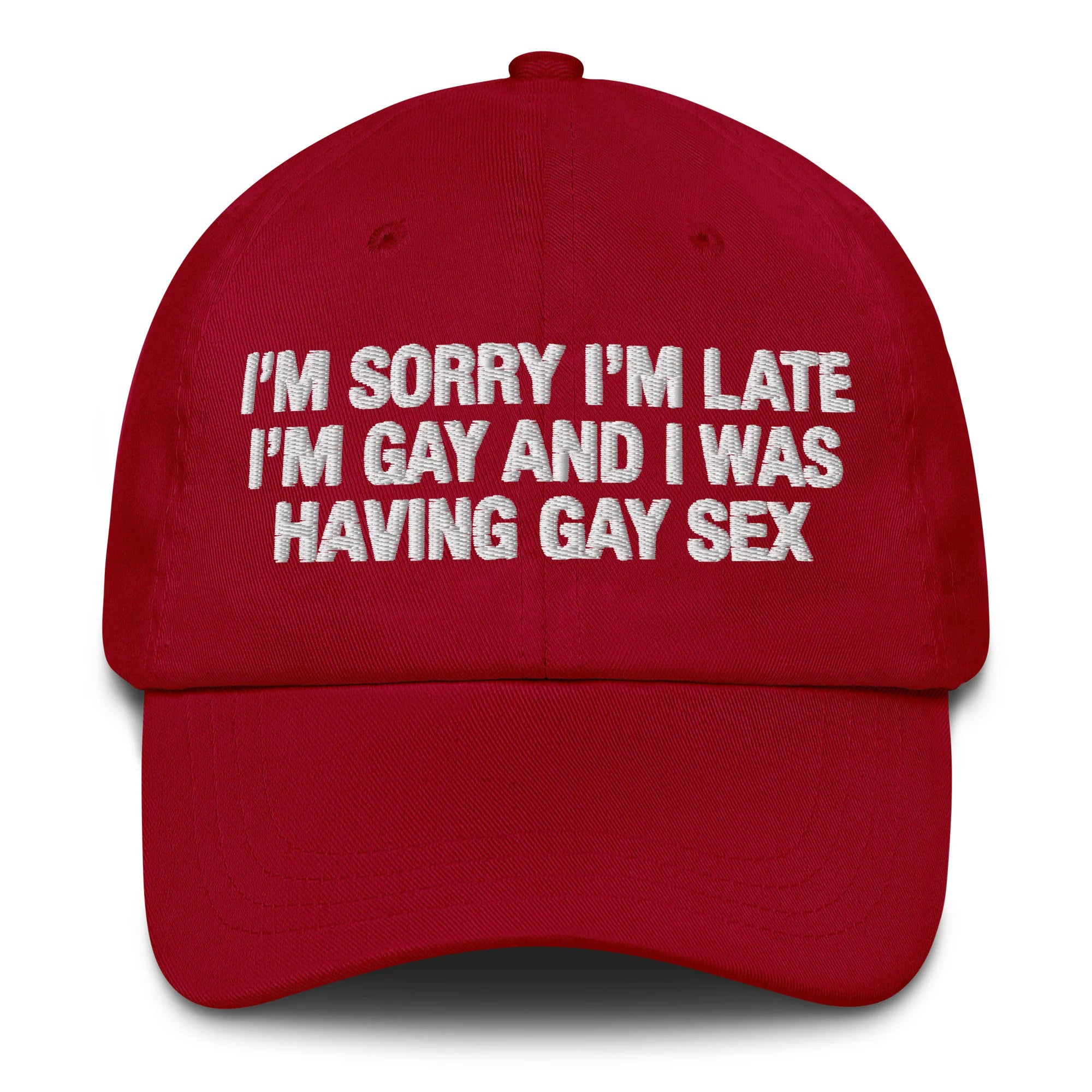 I'm Sorry I'm Late I'm Gay And I Was Having Gay Sex Hat.