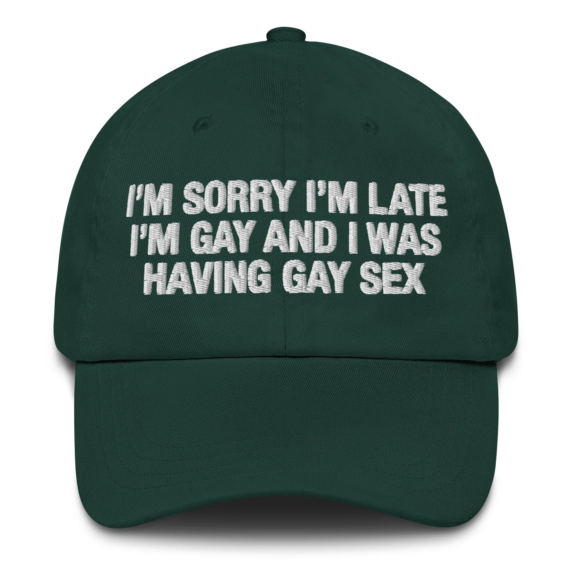 I'm Sorry I'm Late I'm Gay And I Was Having Gay Sex Hat.