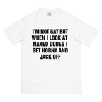 I'm Not Gay But When I Look At Naked Dudes I Get Horny And Jack Off.