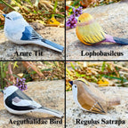 Hand Carved Wooden Bird Ornaments,Chubby Robin Figurine,Wooden Bird Figurine Ornament,Gift for Bird Lovers,Birthday Gift,Christmas Gifts