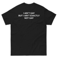 I Ain't Gay But I Ain't Exactly Not Gay.
