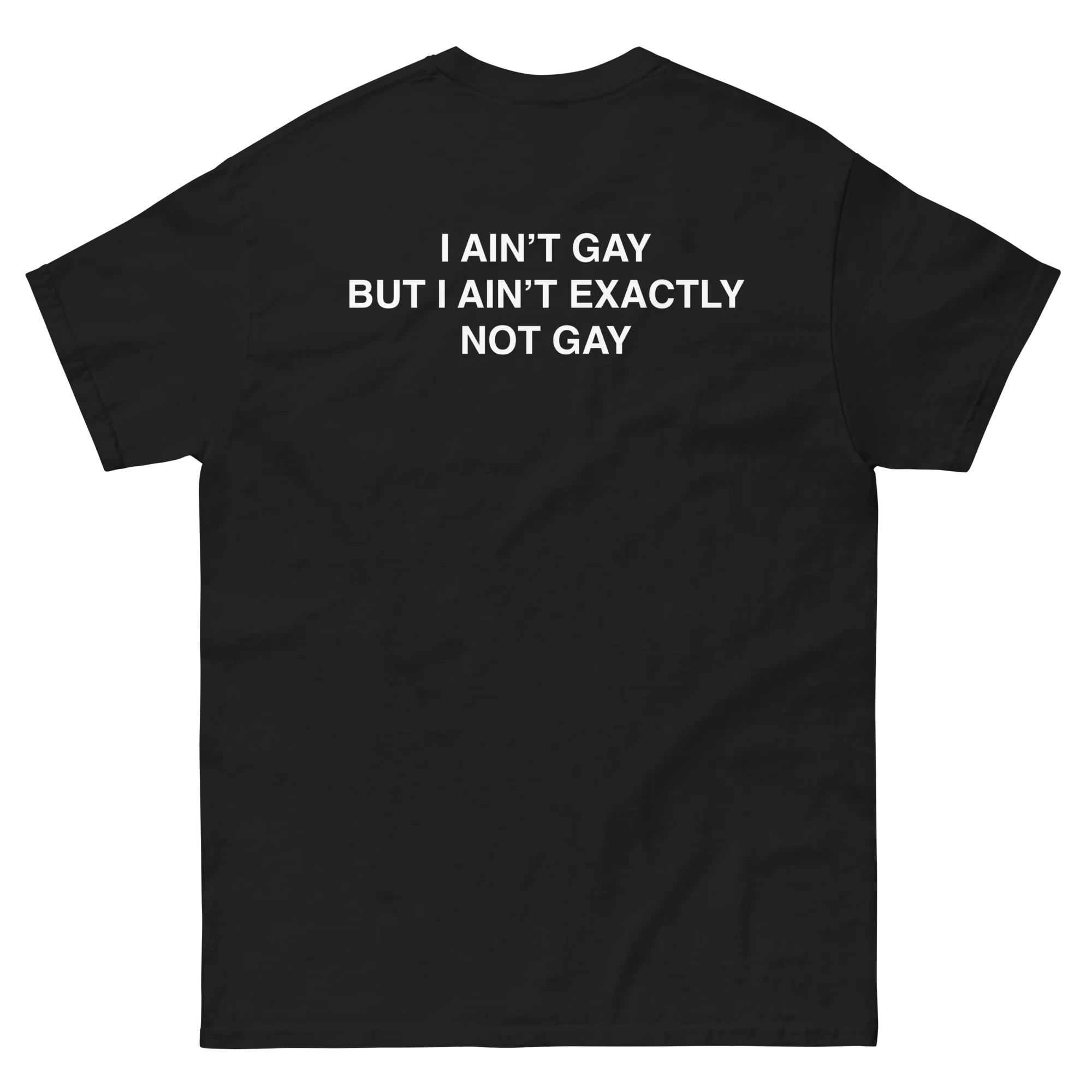 I Ain't Gay But I Ain't Exactly Not Gay.