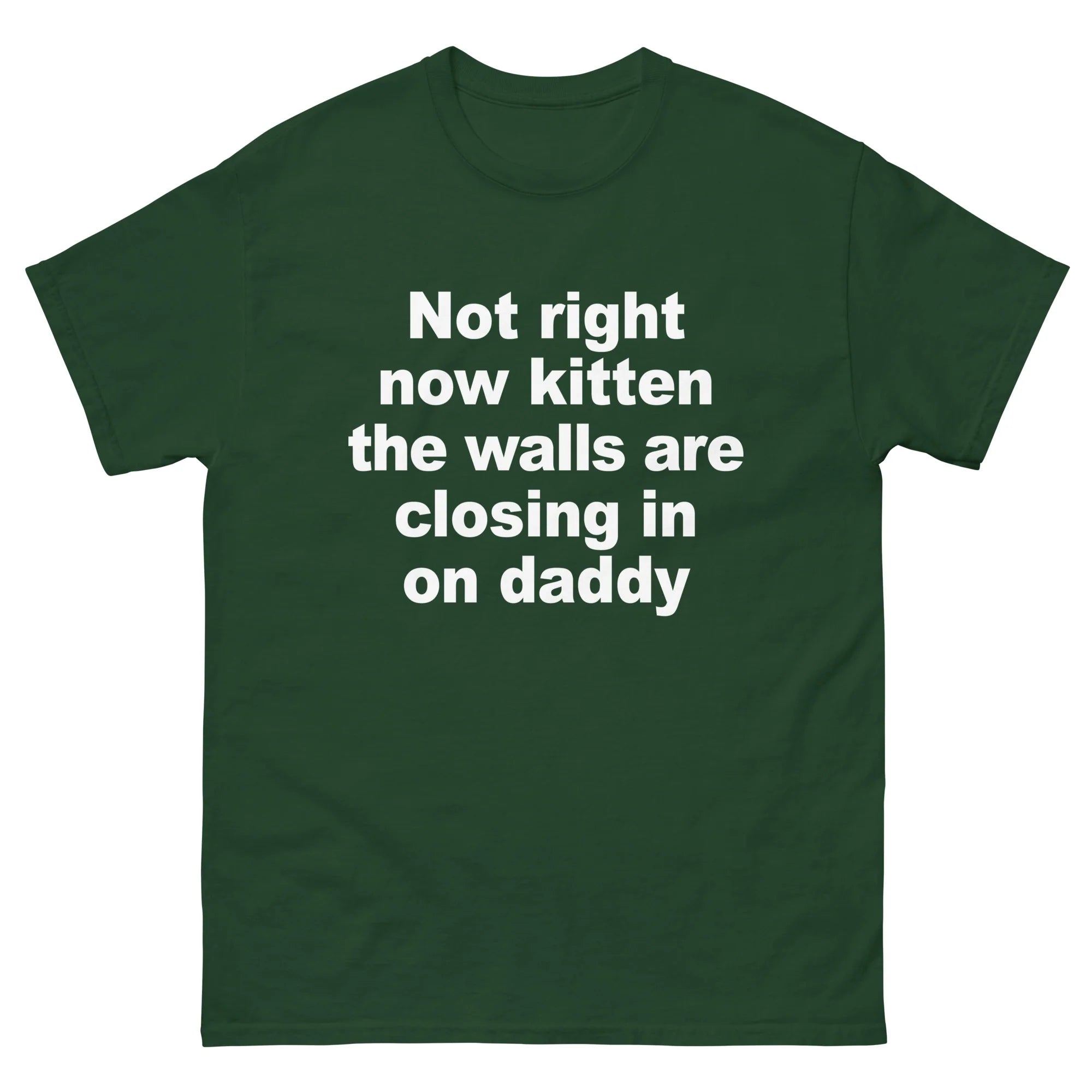 Not Right Now Kitten The Walls Are Closing In On Daddy Shirt.