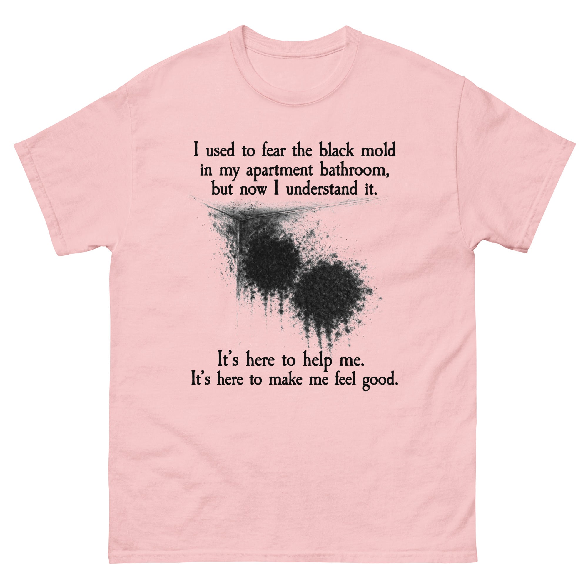 I Used To Fear The Black Mold In My Apartment, But Now I Understand It.
