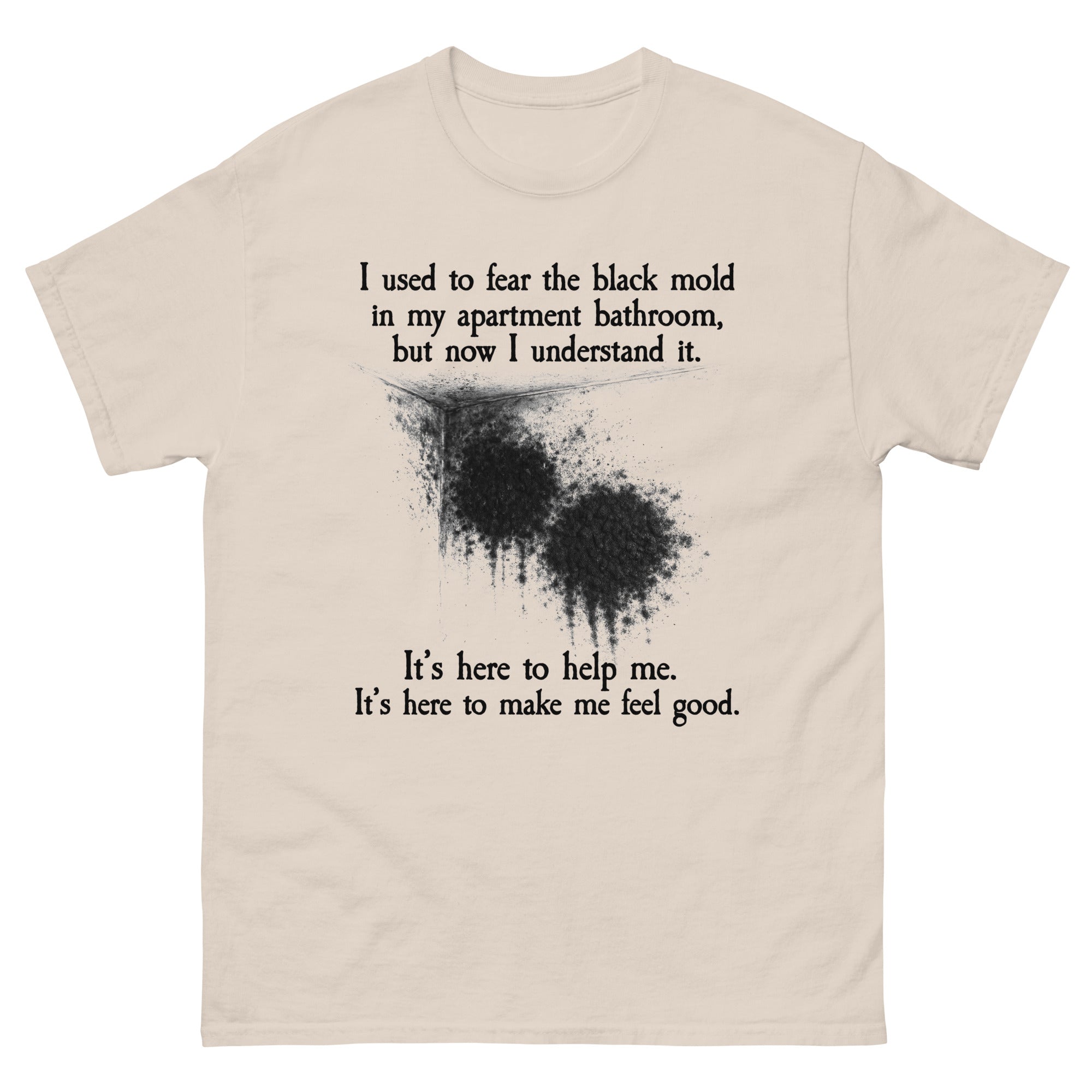 I Used To Fear The Black Mold In My Apartment, But Now I Understand It.