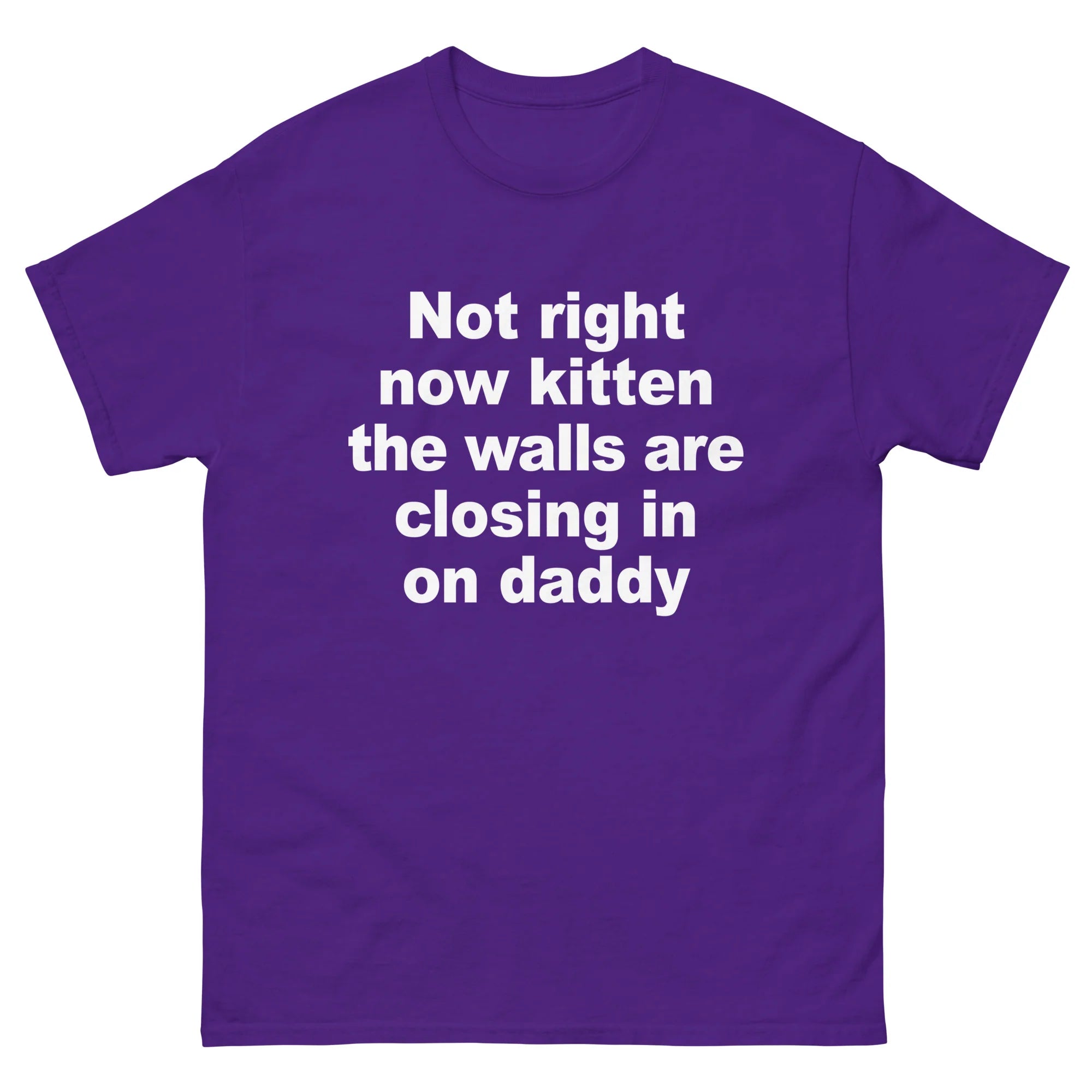 Not Right Now Kitten The Walls Are Closing In On Daddy Shirt.