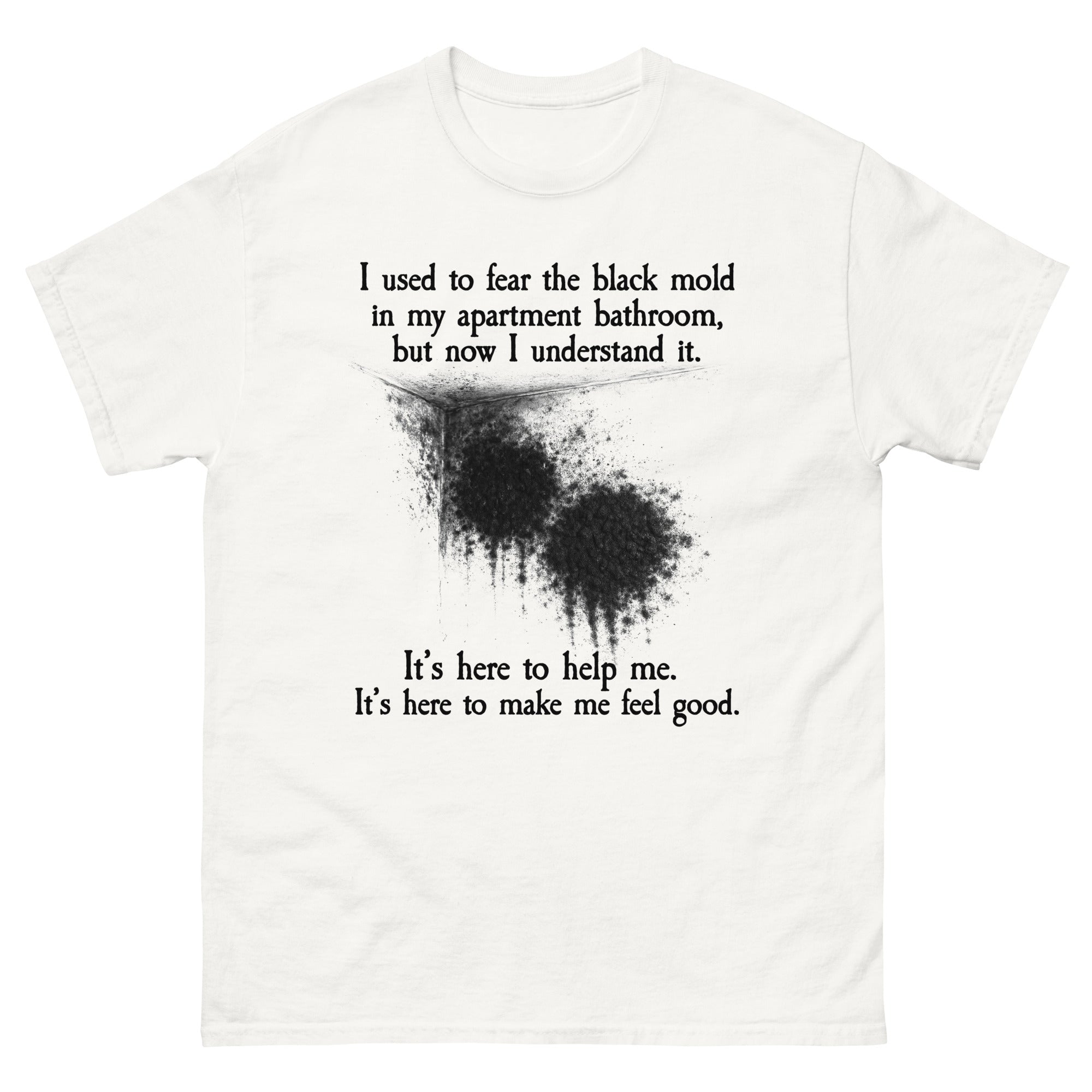 I Used To Fear The Black Mold In My Apartment, But Now I Understand It.