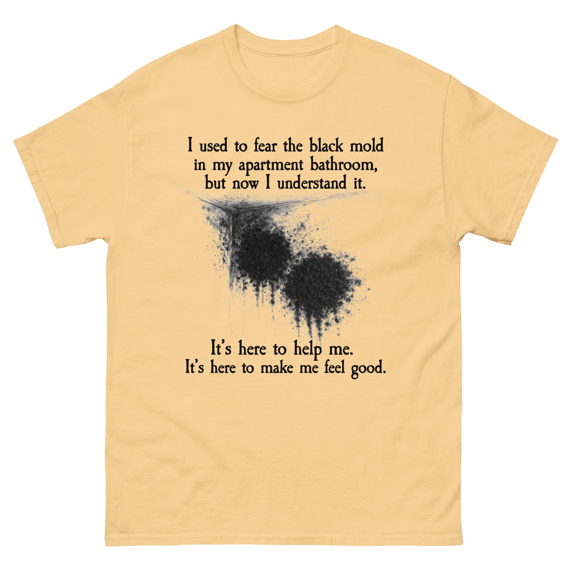 I Used To Fear The Black Mold In My Apartment, But Now I Understand It.